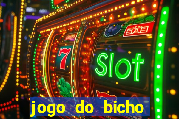 jogo do bicho crash bingo