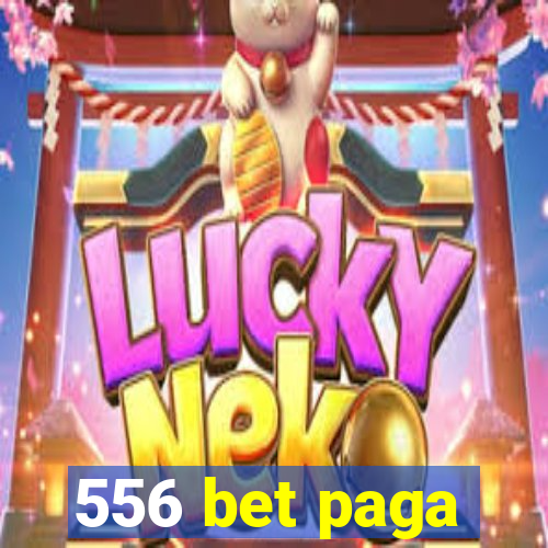 556 bet paga