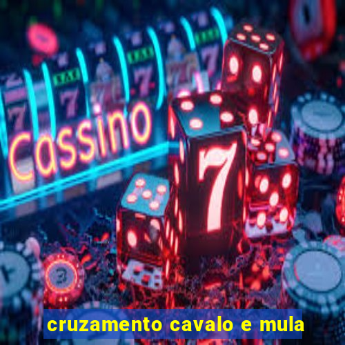 cruzamento cavalo e mula