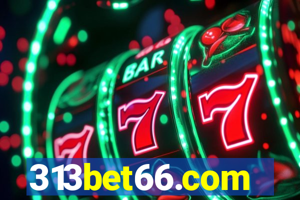 313bet66.com