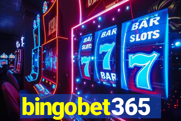 bingobet365